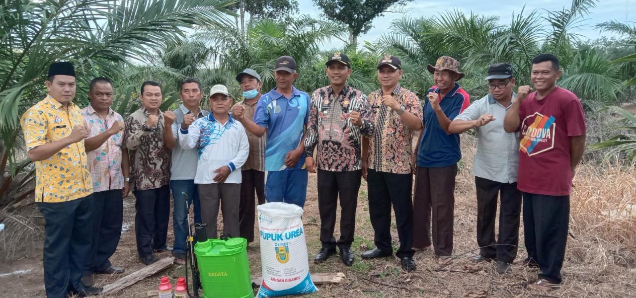 Jasa Pendirian Koperasi Sukasari Murah