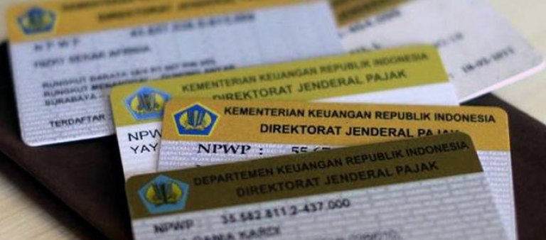 Biaya Pembuatan NPWP dan NIB