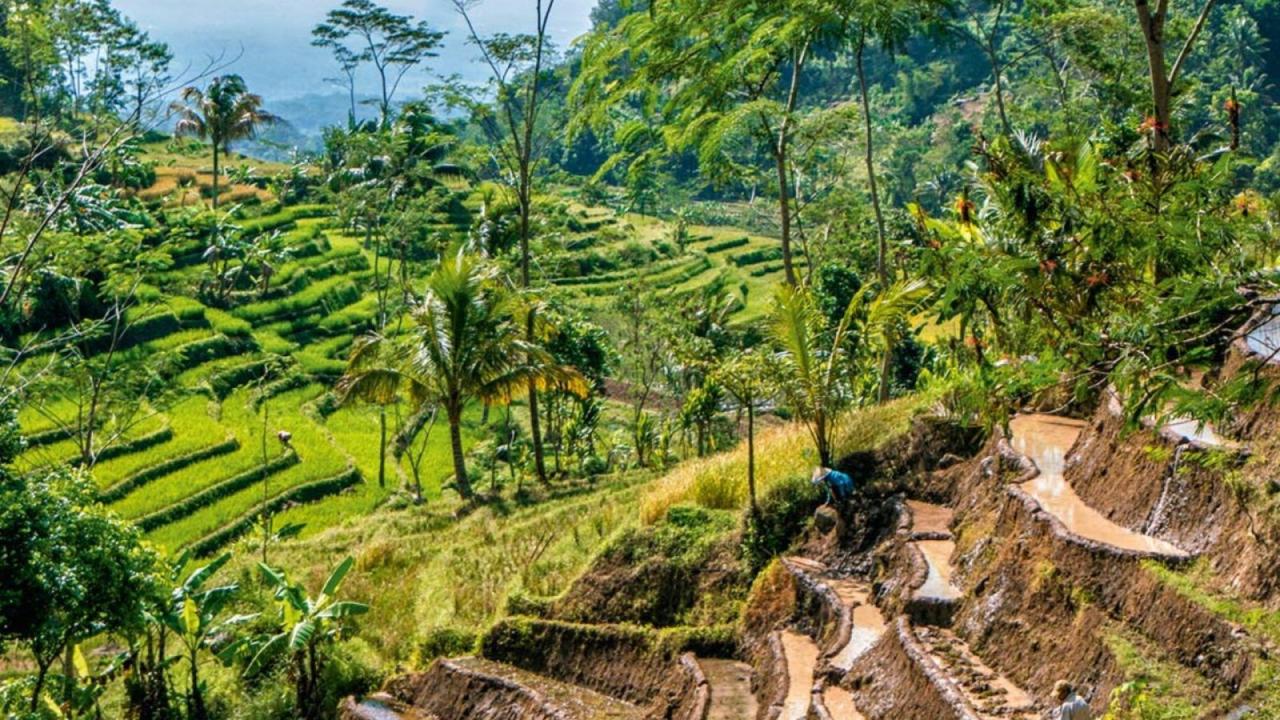 Biaya Pendirian PT di Luar Pulau Jawa