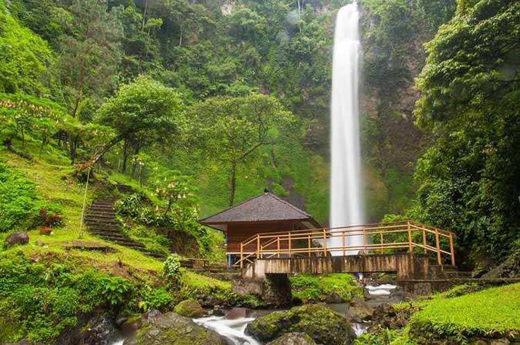 Memilih Jenis PT yang Tepat di Cimahi