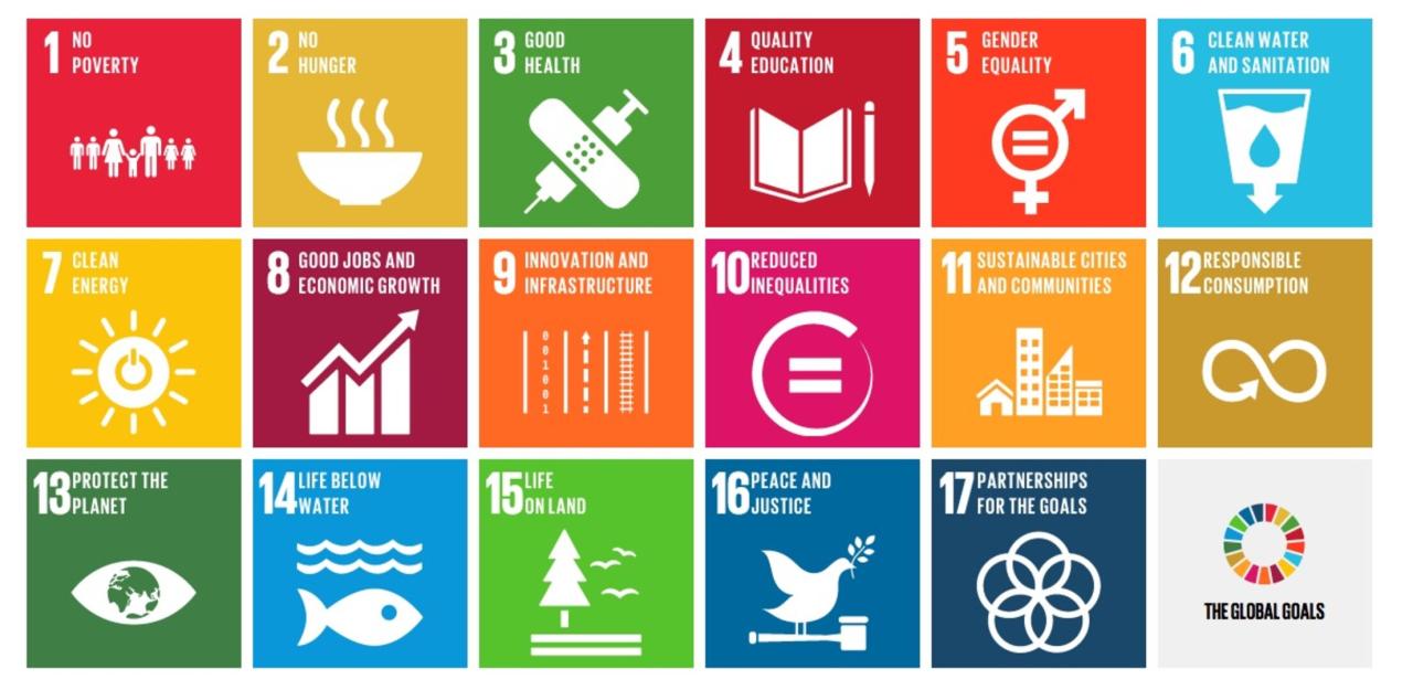 Goals sustainable development strategies sdgs lessons rwanda africa