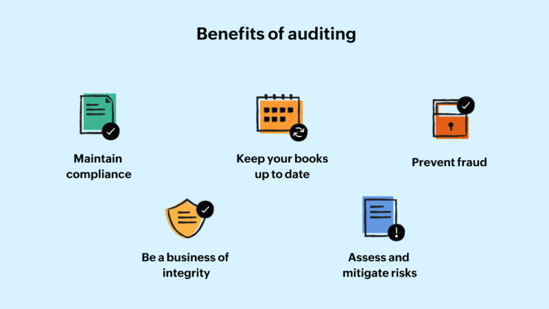 Audit importance