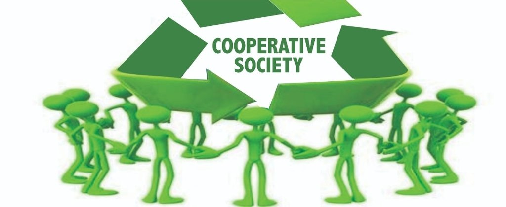 Vision cooperative coop