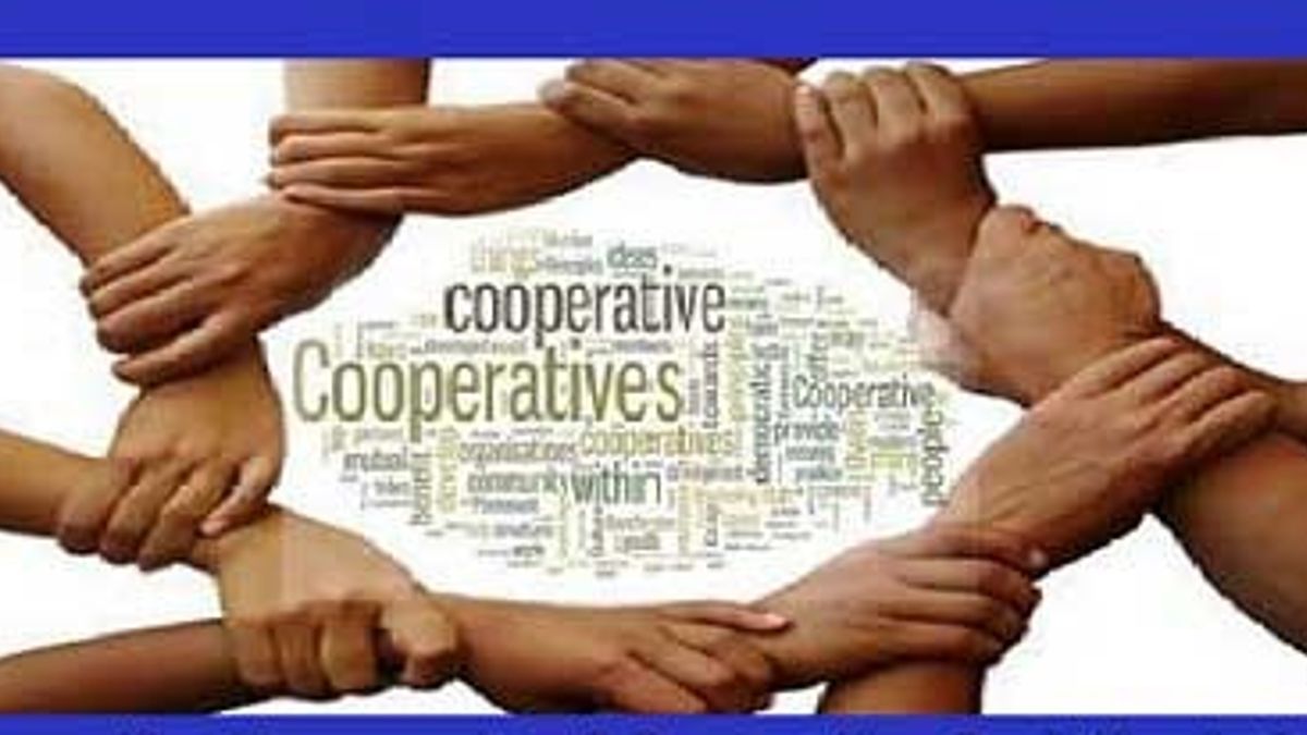 Cooperative