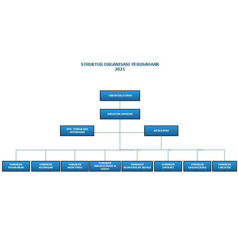 Membuat Struktur Organisasi dan Manajemen PT